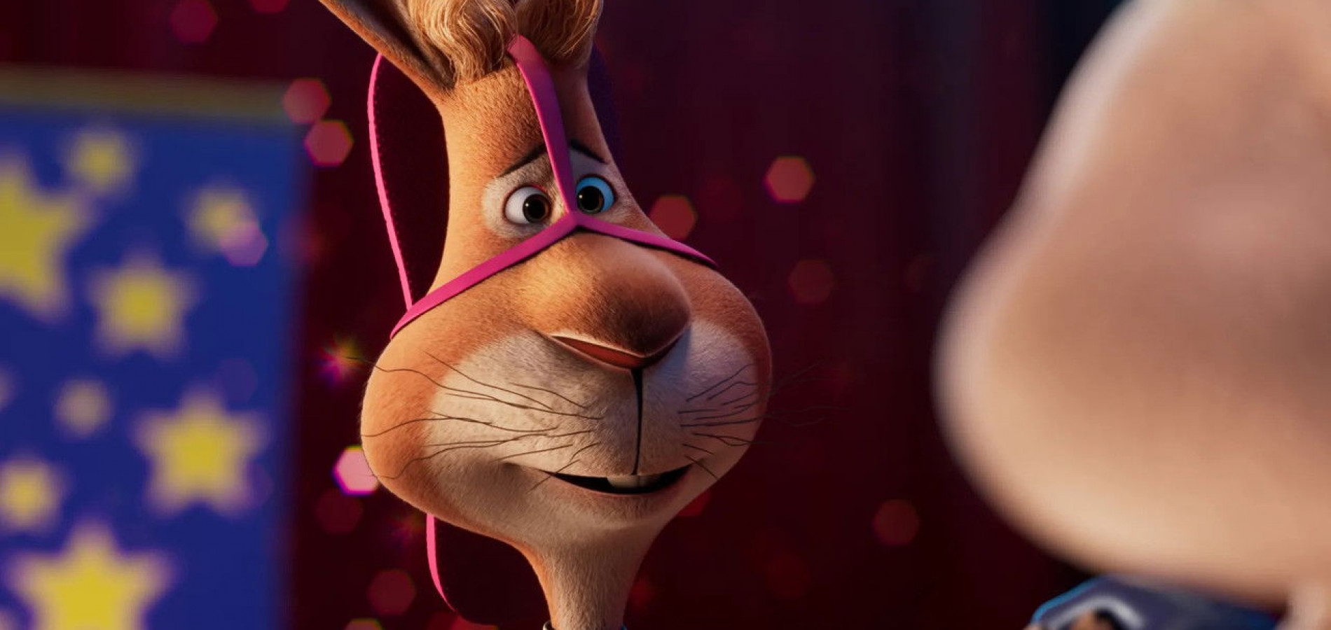 actualité Walter lapin AP