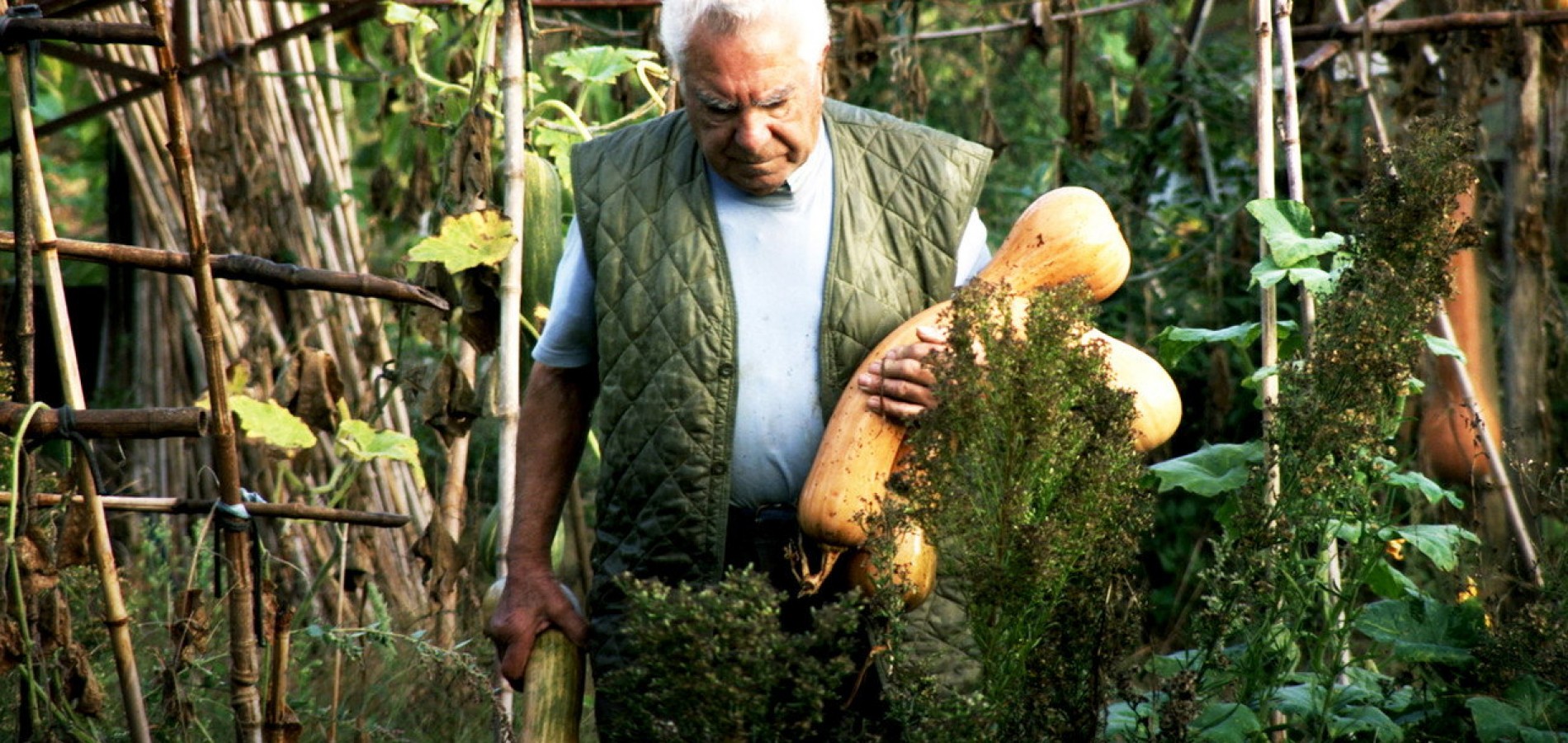 actualité Le potager de mon grand père