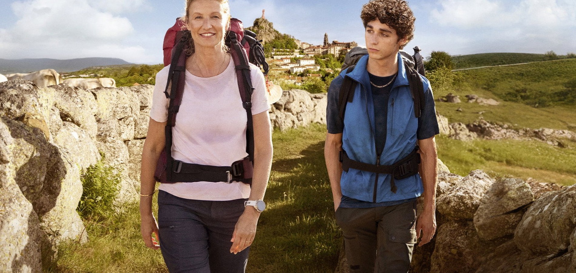 actualité Compostelle