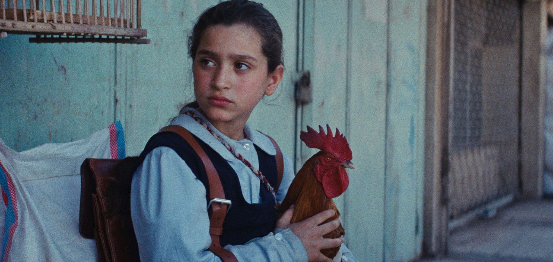actualité LE GATEAU DU PRESIDENT