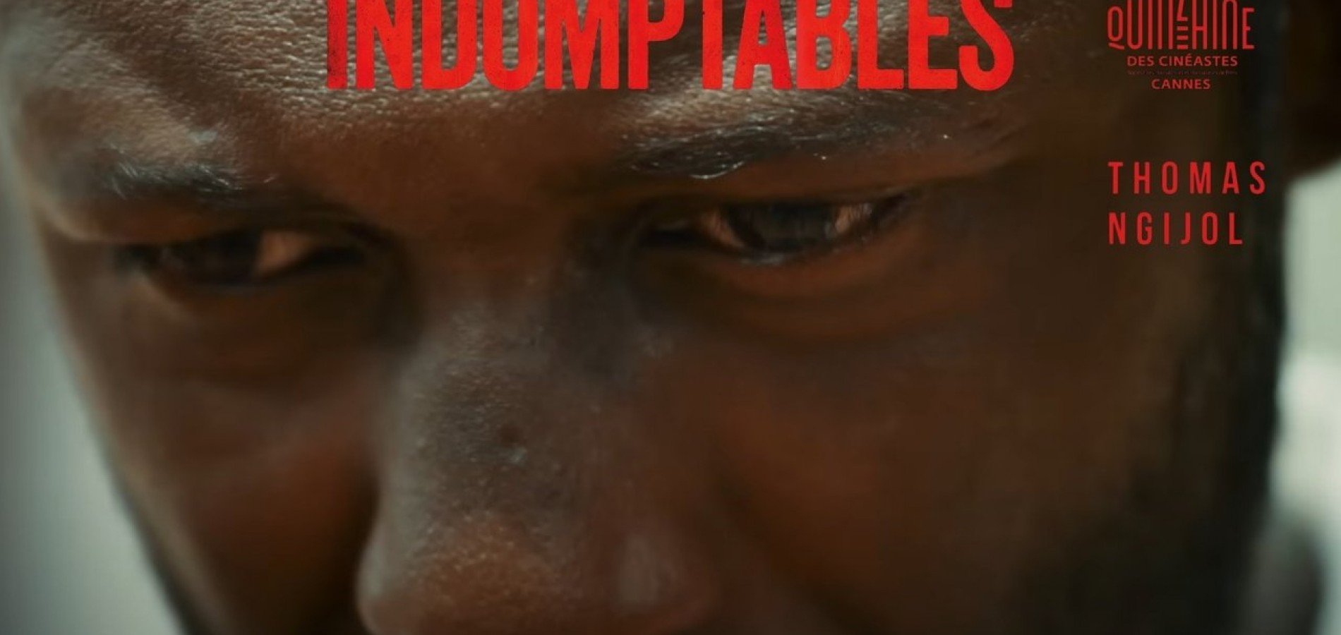 actualité indomptables