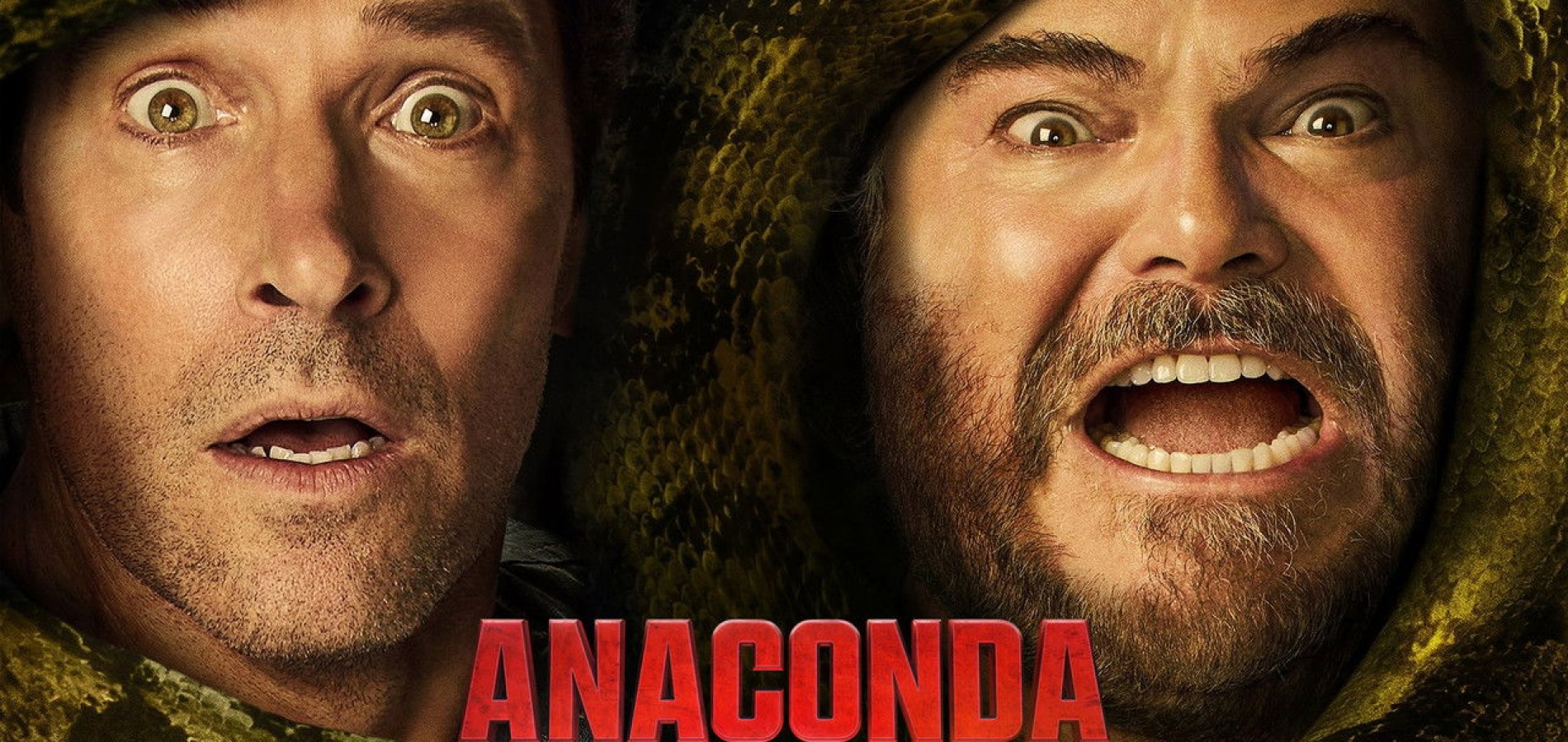 actualité ANACONDA